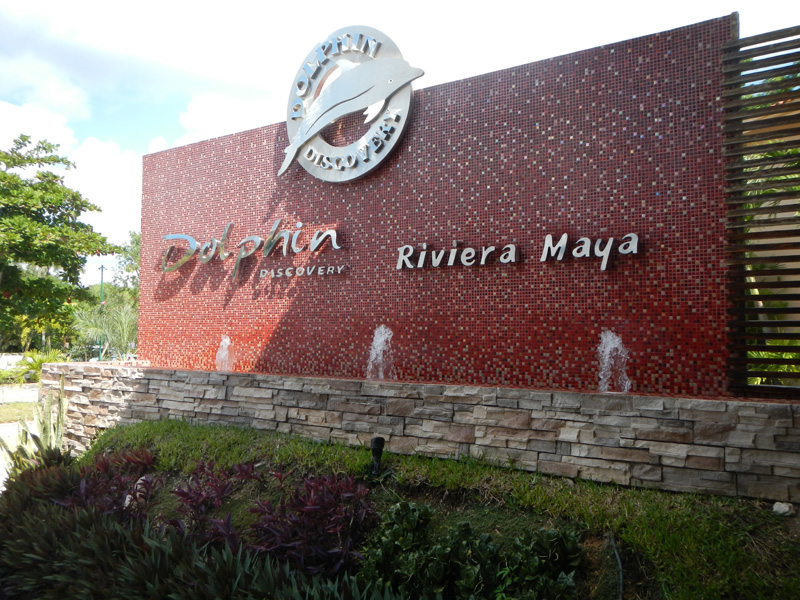 Swim with Dolphin in Riviera Maya Puerto Aventuras with Dolphins