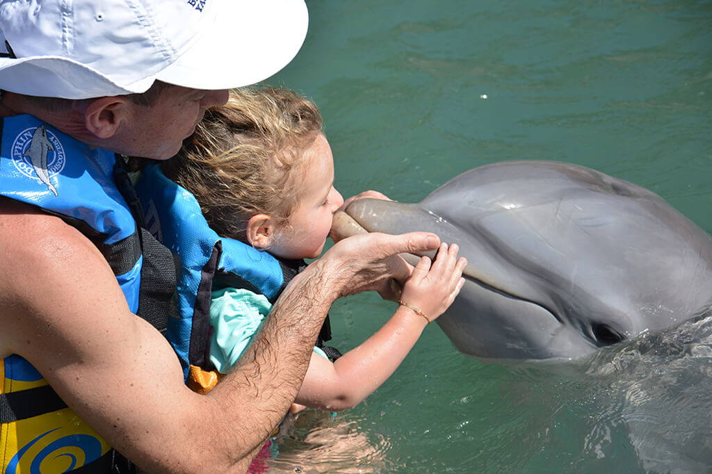 Swim with Dolphins at Dolphin Discovery Cancun, Vallarta, Riviera Maya