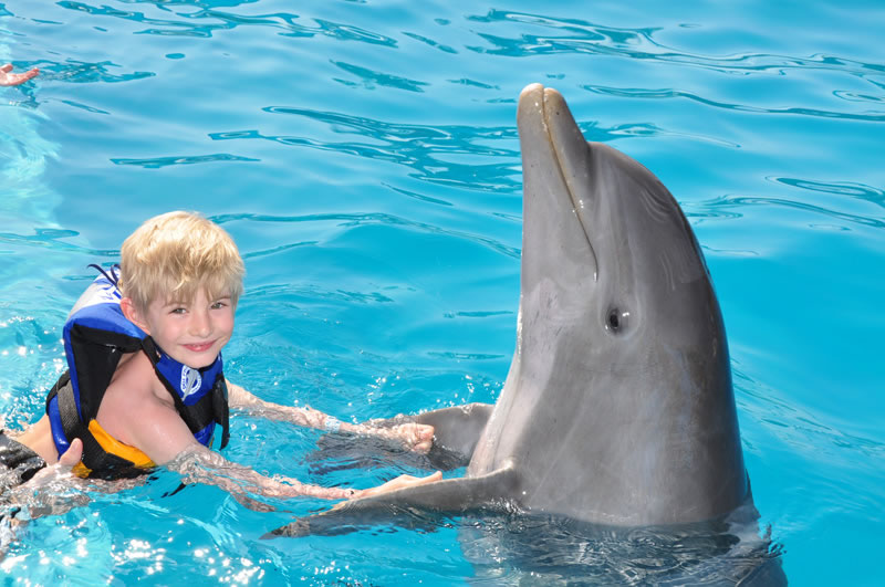 six flags swim with dolphins