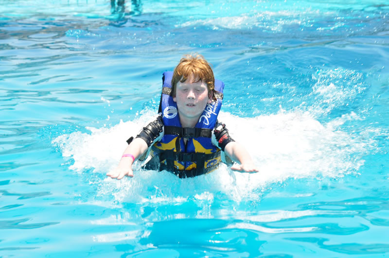 six flags swim with dolphins