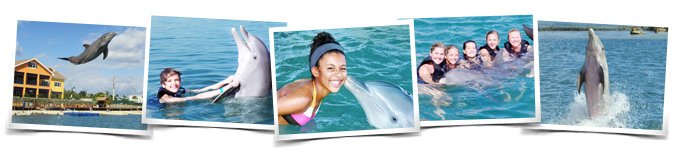 Swimming with dolphins in Grand Cayman