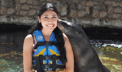 Sea Lion Discovery Sea Lion Discovery