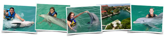 Программа Dolphin Swim Adventure Программа Dolphin Swim Adventure
