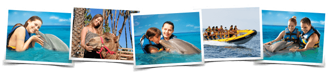 Swim with Dolphins in Los Cabos