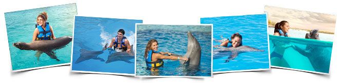 Dolphin Royal Swim Puerto Aventuras