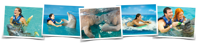 Mayan Riviera activities