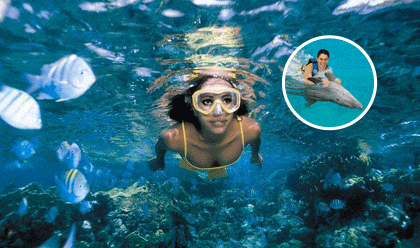 Royal Garrafon + Swim Adventure 