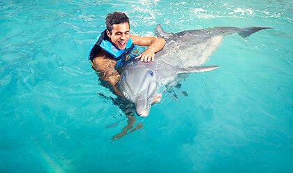 Dolphin Encounter Dolphin Encounter