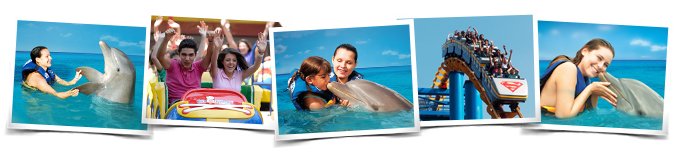 Dolphin encounter Six Flags M�xico