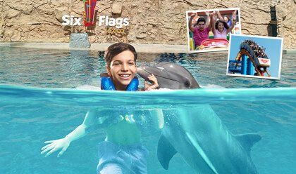 Six Flags + Dolphin Encounter 