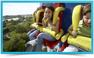 Six Flags + Dolphin Encounter 