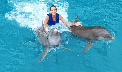 Six Flags + Dolphin Swim 