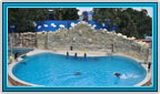 Six Flags Mexico City, Dolphin Discovery