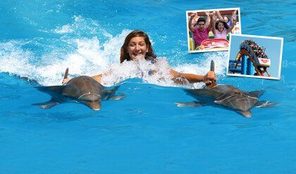 six flags swim with dolphins