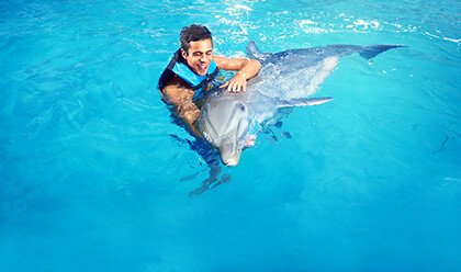 Dolphin Encounter Dolphin Encounter