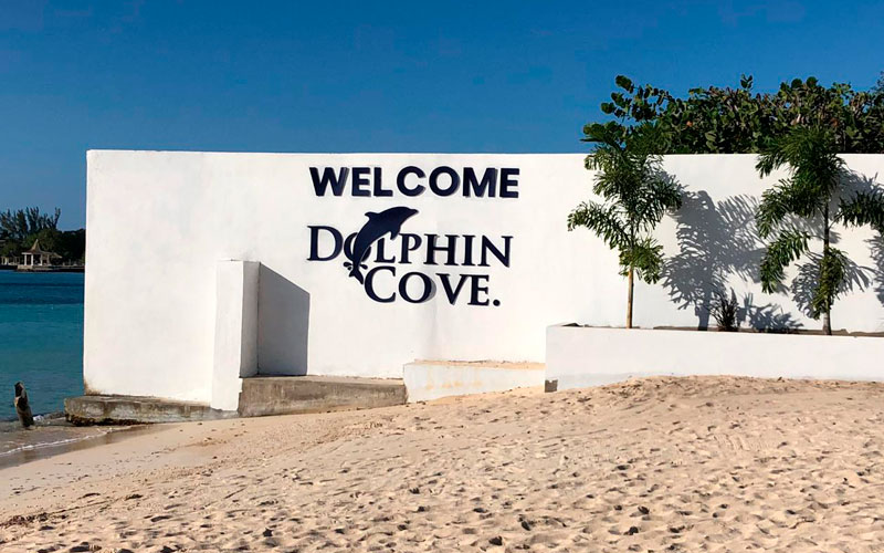 "DOLPHIN COVE PUERTO SECO", THE NEW HABITAT OF GRUPO DOLPHIN IN JAMAICA