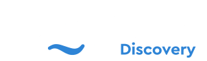 Dolphin Disvovery Logo