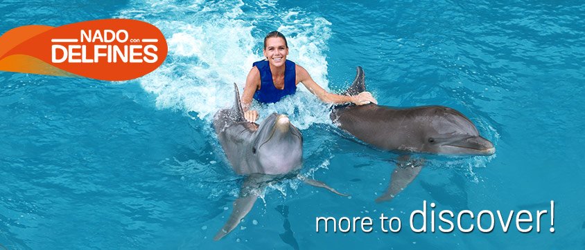 Swim With Dolphins Program