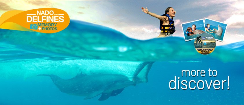 Dolphin Swim Adventure Memories Program
