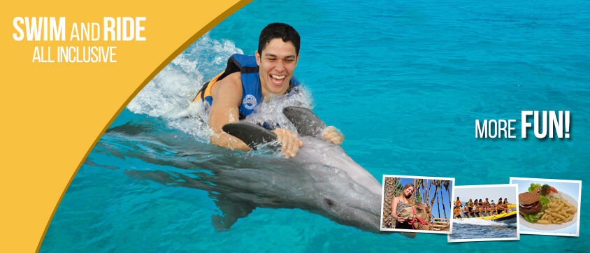 Dolphin Swim Adventure All Inclusive Program