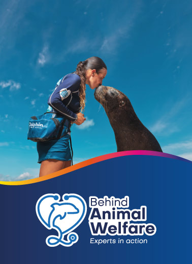 Acerca de especies Marinas