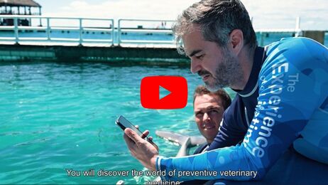 Behind Animal Welfare