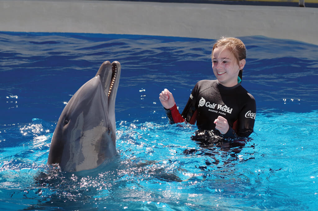 Gulf World Swim With Dolphins Activities By Dolphin Discovery