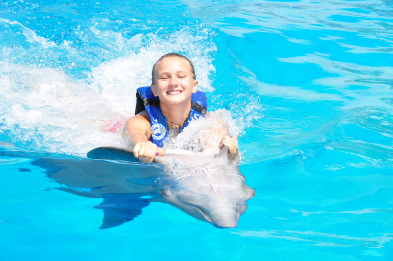 People swimming with dolphins in Puerto Vallarta. [Courtesy Dolphin Discovery / The Dolphin Company]