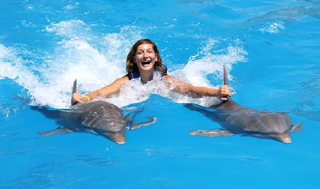 Dolphin Royal Swim 