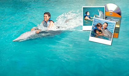 Dolphin Swim Adventure Memories Package