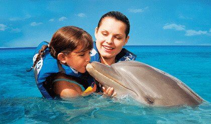 Dolphin Encounter 