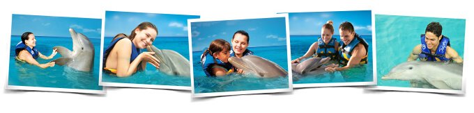 Caribbean island activities swim with dolphins