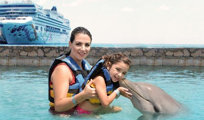 Dolphin Encounter 