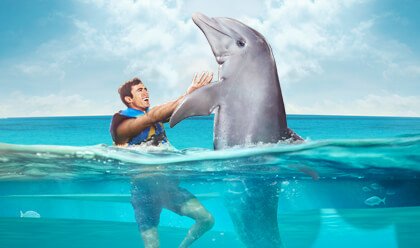 Dolphin Lovers´ Swim 