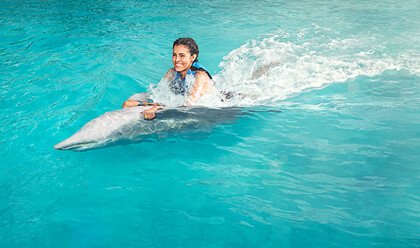 Dolphin Swim Adventure Memories