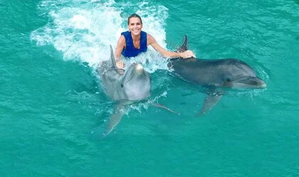 Dolphin Royal Swim 