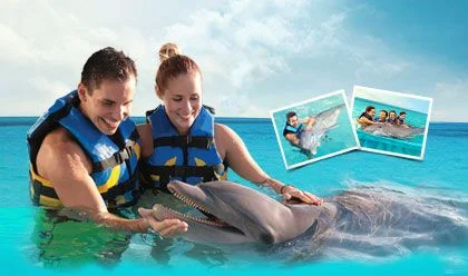 Dolphin Swim Adventure Memories 