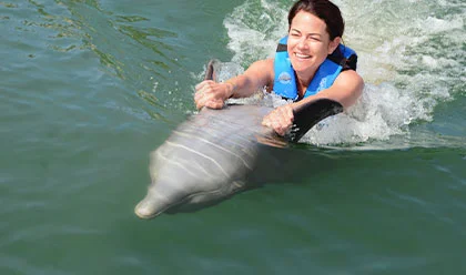 Dolphin Swim Adventure 