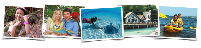 Dolphin Royal Swim Isla Mujeres