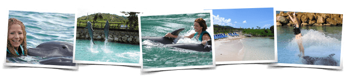 Dolphin Royal Swim Isla Mujeres