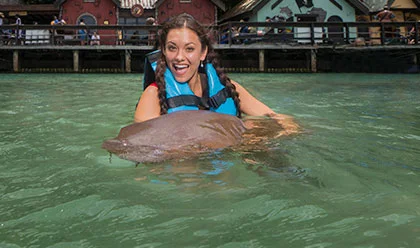 Shark Encounter 