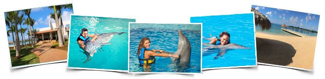 Encounter in Dolphin Cove Puerto Seco Beach