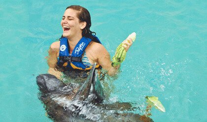 Manatee Encounter 