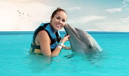 Encounter With a Dolphin 