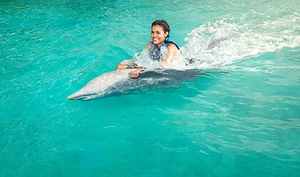 Dolphin Swim Adventure 