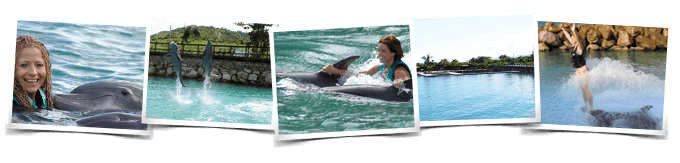 Dolphin Royal Swim Isla Mujeres