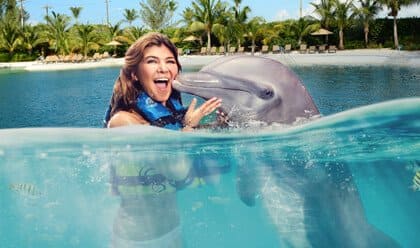 Dolphin Lovers' Swim Dolphin Lovers' Swim