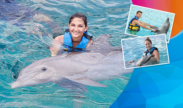 Dolphin Encounter Memories 