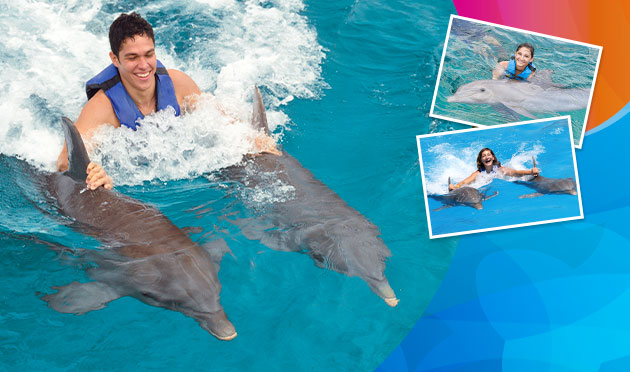 Dolphin Royal Swim VIP Memories 