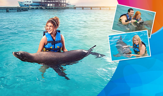 Sea Life Discovery Plus 